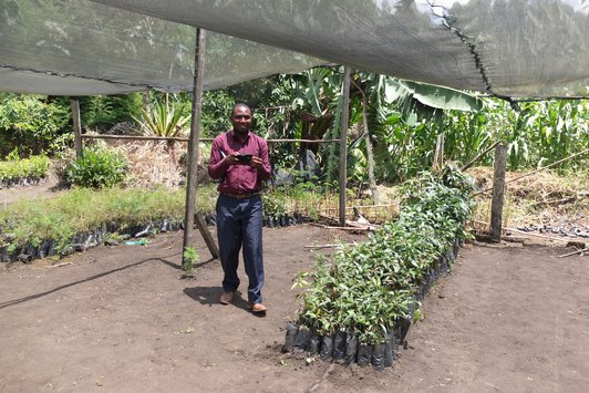 A man standing in a covered garden on earthy ground with some plants