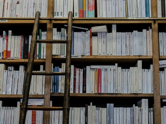 Bücherwand mit angelehnter Leiter