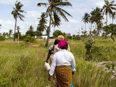 Der Alternativtext wird in Kürze eingefügt