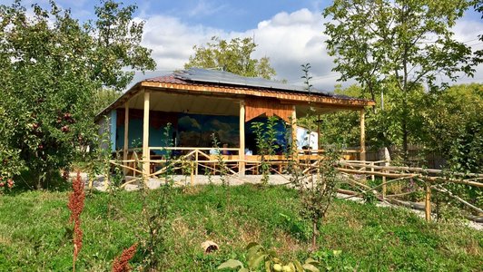 Tiny house with roofed terrace in the middle of green landscape with fruit trees