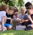 A group of children sits in a meadow and researches together.