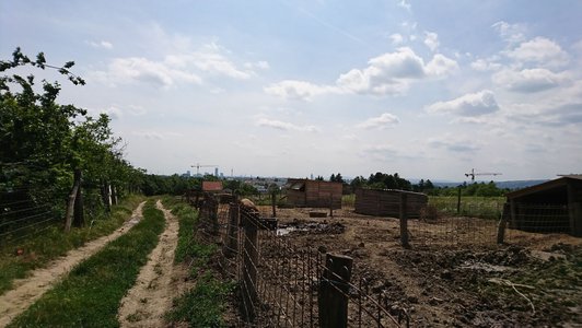 Outdoor piggery and country way