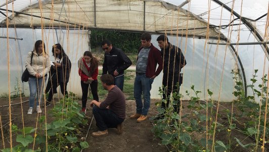 Group of people in a greenhouse looking at some plants