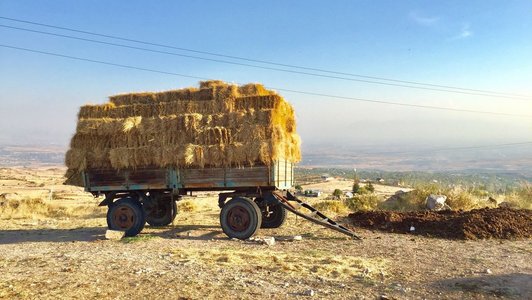 Carriage with bales of straw on it standing in the middle of an earthy area