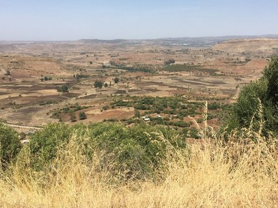 View on fallow land in Ethiopia, prepared for a reforestation project