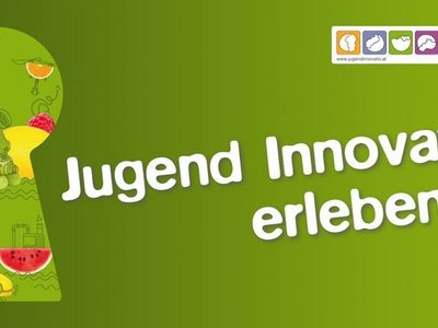 Cover photo from the Jugend Innovativ student competition 2018: Green background with a painted keyhole containing fruit.