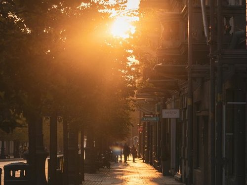 Gasse mit Bäumen in Vilnius zum Sonnenuntergang