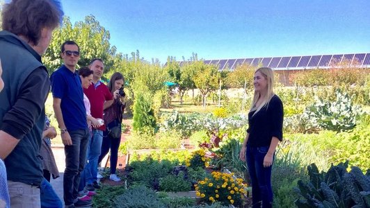 Group of people standing around a vegetable patch