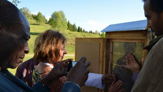 People taking pictures of beekeeping element