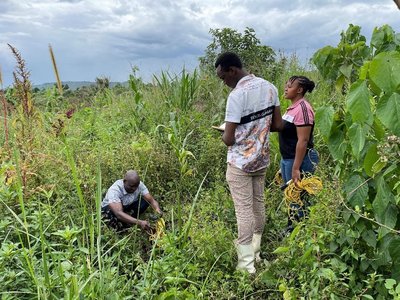 Three people standing in a heavily overgrown meadow and taking soil samples.