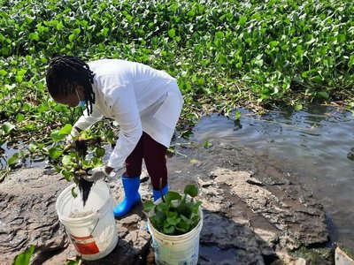 Der Alternativtext wird in Kürze eingefügt