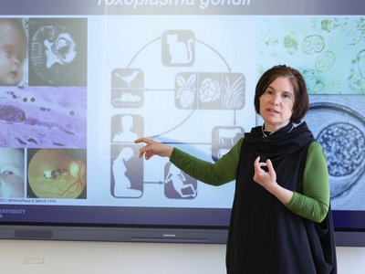 Der Alternativtext wird in Kürze eingefügt