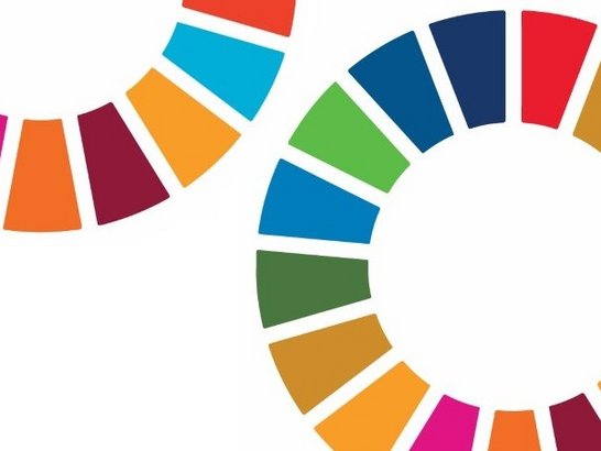 SDG wheel