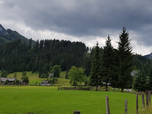 Blick auf saftige grüne Wiese mit Wald und Bauernhäusern im Hintergrund