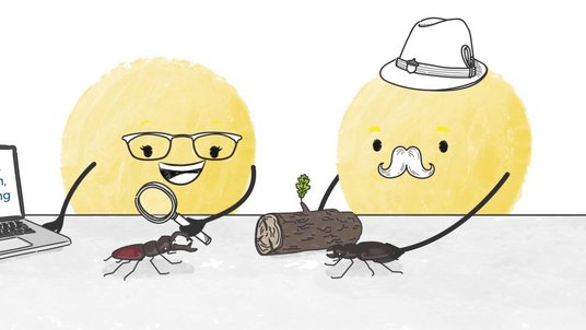 Der Alternativtext wird in Kürze eingefügt