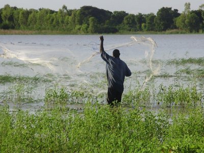 Fisherman fishing with net from behind