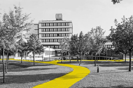 Campus Wiener Neustadt from the front. The path is yellow and surrounded by trees. Apart from that, this is a black and white photo.