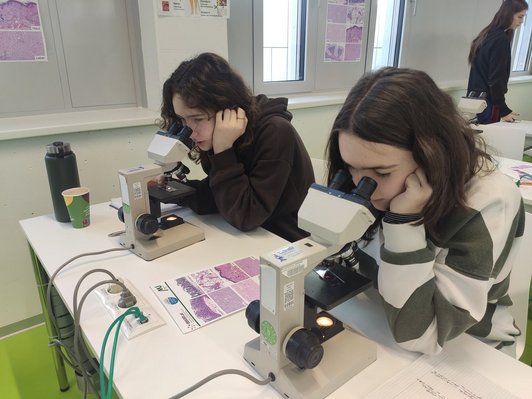 Schüler schauen in Mikroskop