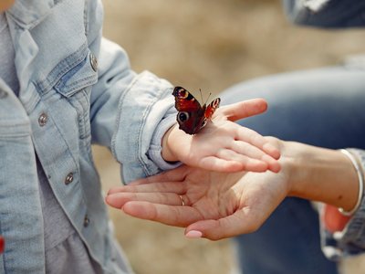 Kleines Mädchen hält einen Schmetterling in der Hand