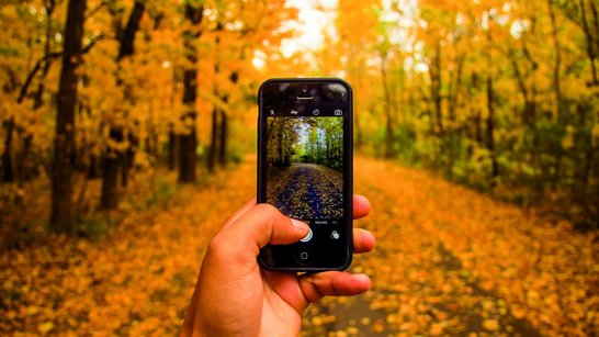 Blick auf Smartphone in Hand im Wald