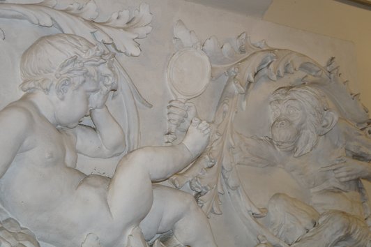 Deckenrelief im Naturhistorischen Museum Wien