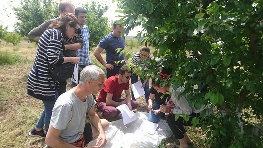 Group of people standing together outdoors and looking to something that one person is showing to them