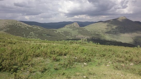 Ethiopian highlands