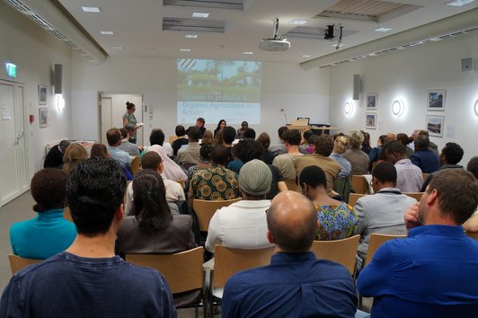 View from behind of a group of people sitting arranged in rows