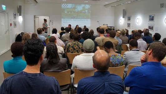 View from behind of a group of people sitting arranged in rows