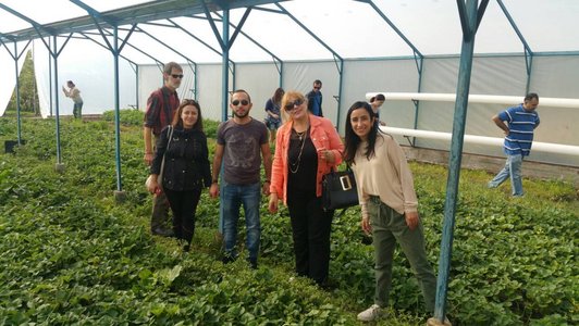 Group of people posing for a picture in a greenhouse