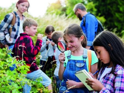 Kinder beobachten die Natur mit zwei Erwachsenen