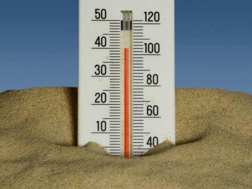 Schulen beschäftigen sich mit der durch den Klimawandel zunehmenden Hitze