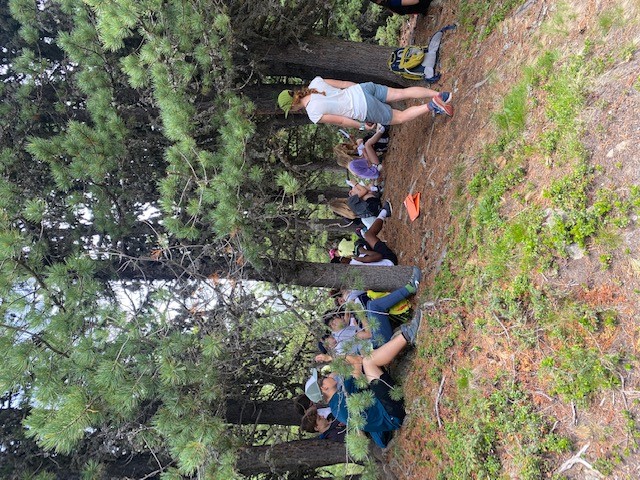 Workshop im Zirbenwald