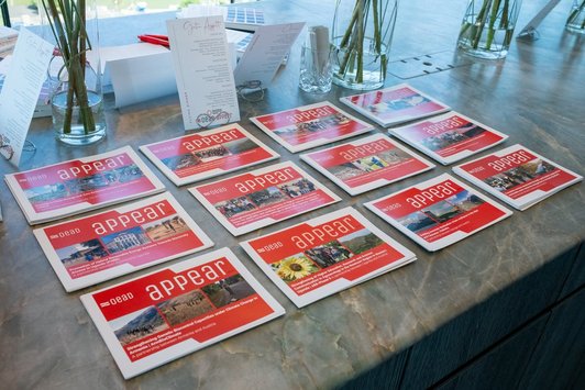 APPEAR Flyer (rot) in einer 3x4 Reihe auf einem Tisch angeordnet 