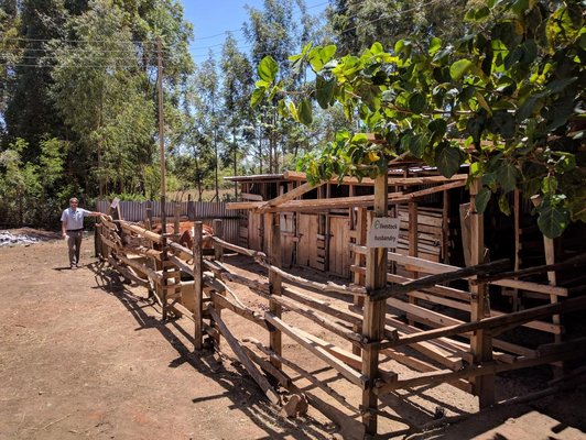 Man standing next to an wooden cowshed surrounded by trees