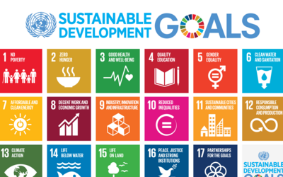 17 Nachhaltige Entwicklungsziele (SDGs)
