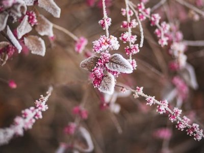 Der Alternativtext wird in Kürze eingefügt