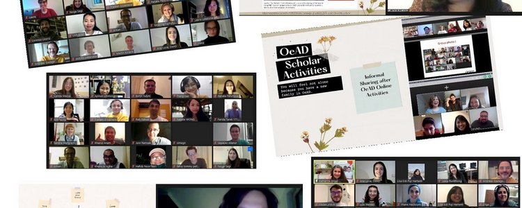 Collage von mehreren Screenshots des Online Meetings