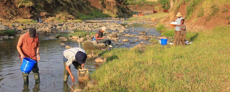 Two scientists looking for water quality and fish in a river in Ethiopia