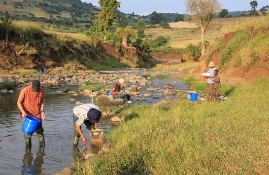 Two scientists looking for water quality and fish in a river in Ethiopia