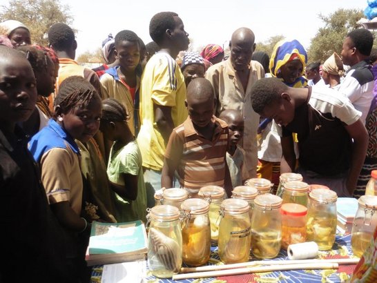 Event at Lake Bam in Burkina Faso in March 2017