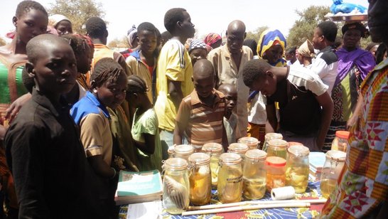 Event at Lake Bam in Burkina Faso in March 2017