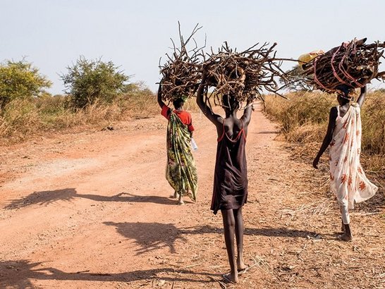 women collecting firewood in Uganda