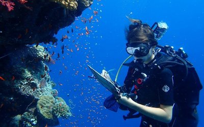 Taucherin beim Erheben von Daten im Korallenriff