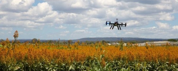 Drohne schwebt über einer landwirtschaftlichen Anbaufläche