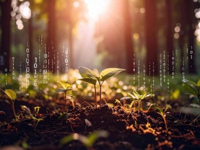 A young plant on the forest floor, above it binary codes