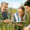 Zwei Männer und eine Frau im hohen Gras beim Reden