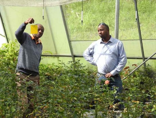 Scientists at work at Mountains of the Moon University Uganda