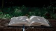 open book in nature