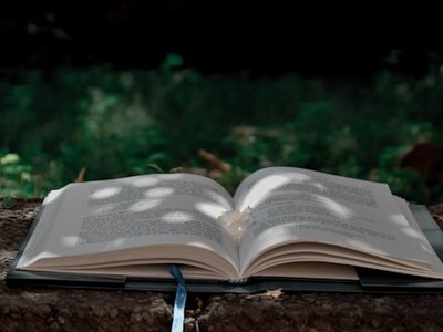 open book in nature